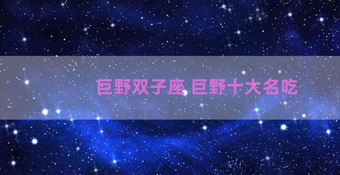 巨野双子座 巨野十大名吃